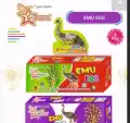 Emu Egg (2pcs)
